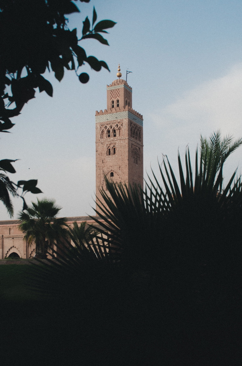 silhouette, plant, tropical climate, mezquita, travel, sky, marrakeh, architecture, building, 4K, morocco, palm leaf, the past, history, marrakech, muslim