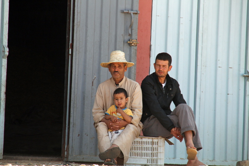 men, looking at camera, children, marrakesh, portrait, seating, crate, three, 5K, family, smiling, life, casual clothing, offspring, white, boys, father