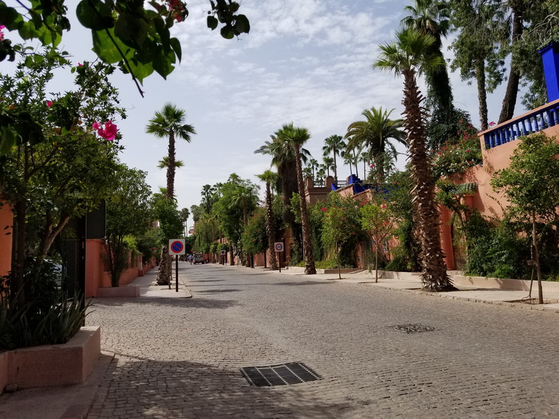 palm trees, direction, footpath, morocco, built structure, strret, sky, marrakech, group of people, building exterior, diminishing perspective, palm tree