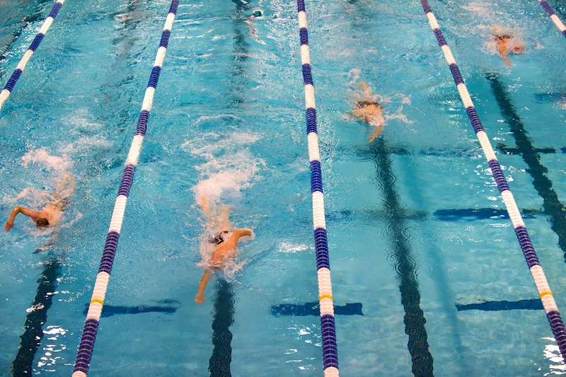 swimwear, effort, exercising, race, swimming, nature, people, reflection, outdoors, competition, high Angle View, body, lanes, person, sports Race, water Sport