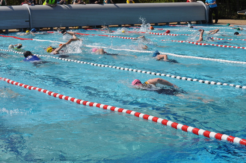 aquatic sport, outdoors, wet, effort, competition, swimming lane marker, swim, skill, lifestyles, swimming, competitive sport, sports race, swimming pool