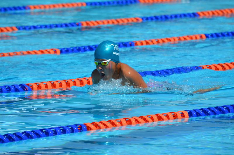 determination, swimming lane marker, competition, sports event, athlete, activity, exercising, eyewear, swimming cap, swimmer, effort, sports race, swimming