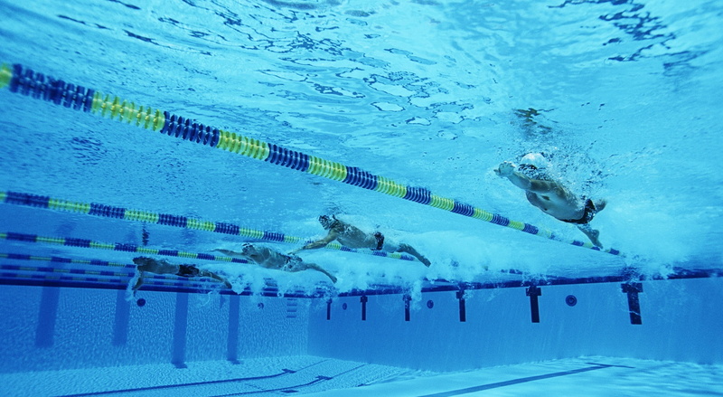 freestyle, underwater, high angle view, day, cold temperature, sea, nature, animal, pool, swimming pool, competition, water, vertebrate, 1080P, blue, Swimming