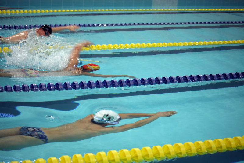 competition, lifestyles, eyewear, Swimming, healthy lifestyle, effort, management, speed, water, sports race, sport, Departure, Diving, people, swimming competition