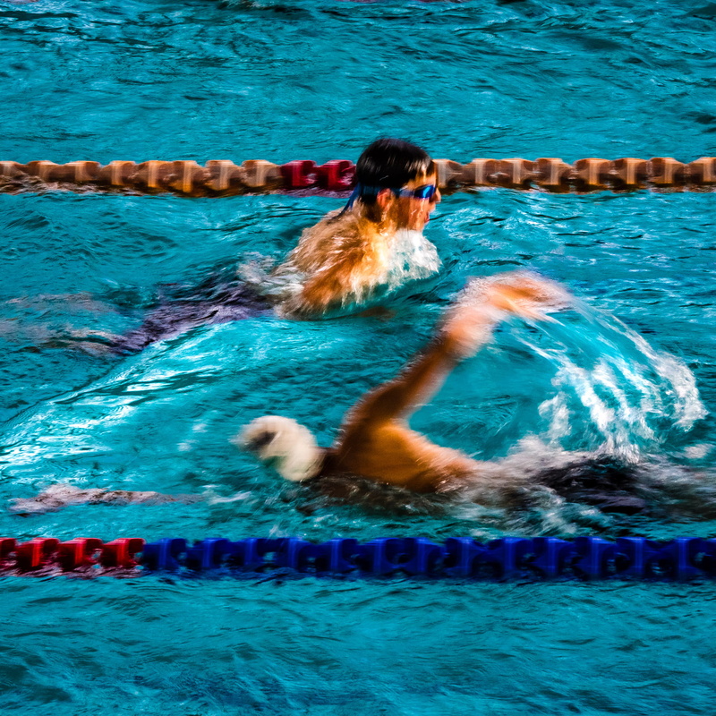swimming lane marker, sport, competition, day, one person, pool, real people, waterfront, outdoors, swimming pool, lifestyles, motion, nature, swimming