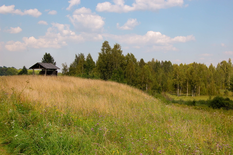 tree, sky, household, building, field, tranquility, Ancient, merchant, construction, meadow, place, the property, 2K, blue, rustic, Boro, old, bungalow