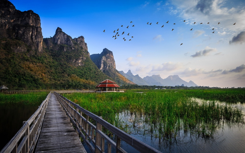 thailand, intanon, water, foot, beauty in nature, grass, bridge, wooden, non-urban scene, scenics - nature, tranquility, cloud - sky, plant