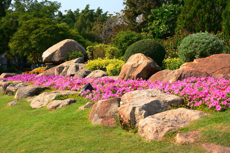 parks, beautiful flowers, botanical garden, tree, doi intanon, ornamental garden, leaf, blossom, tranquility, park, a yellow flower, ya japan, pink flower