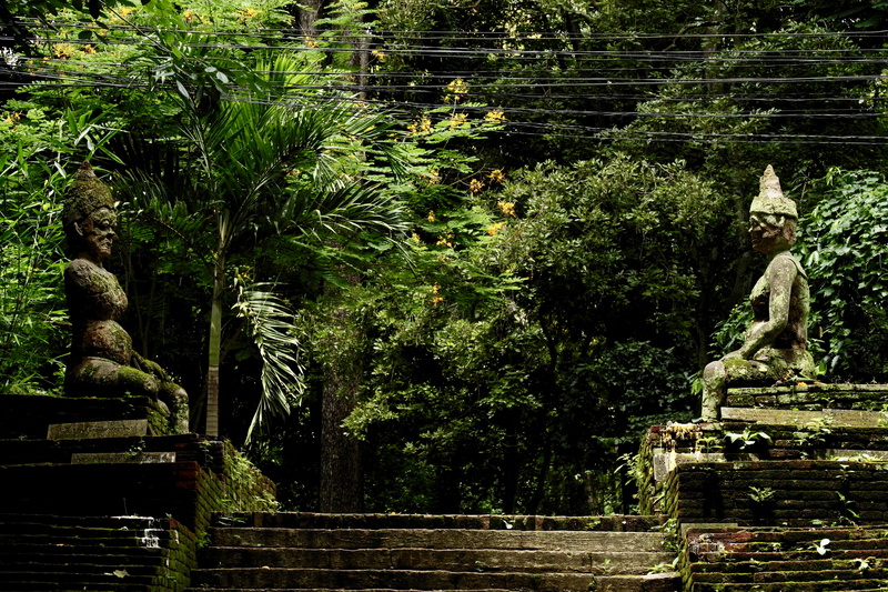 growth, built structure, male likeness, staircase, park, place of worship, art and craft, 5K, architecture, nature, outdoors, chiang mai, plant, green color