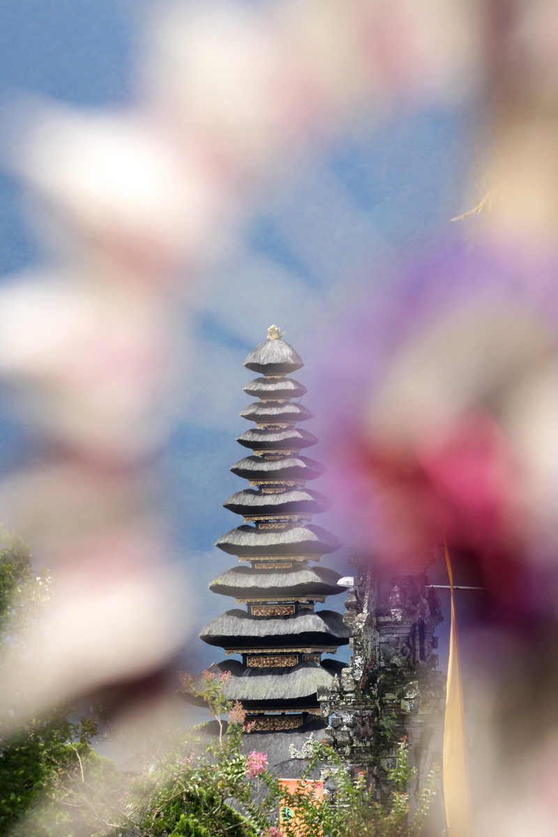 metal, beauty in nature, architecture, tree, growth, selective focus, purple, architectural, temple, water temple, pura ulun danu bratan, balance, exotic