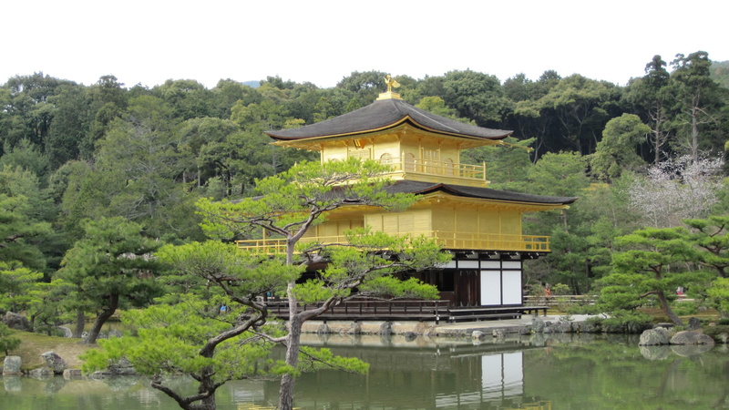 religion, japan, no people, lake, shrine, kyoto, tree, 4K, built structure, waterfront, place of worship, temple, nature, day, green color, plant, rokuonji