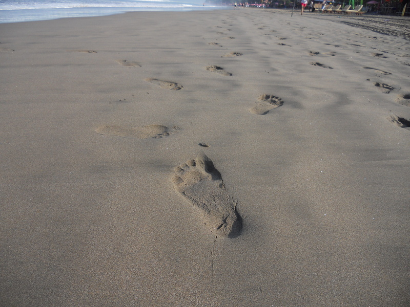 beauty in nature, sea, footprints on sand, travel photography, animal, no people, travel footprints, high angle view, nature, water, absence, footprint
