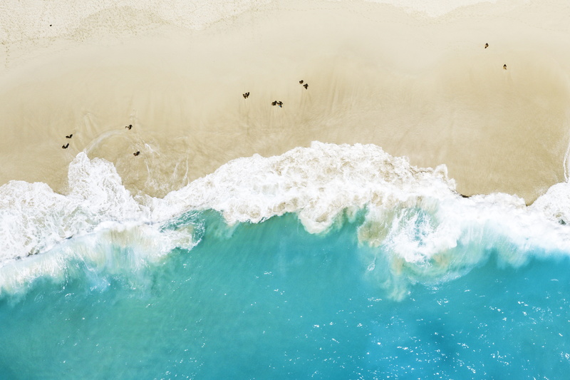 no people, animals in the wild, drone view, high angle view, water, bali, power in nature, shore, green, motion, nature, waterfront, coast, sea, outdoors
