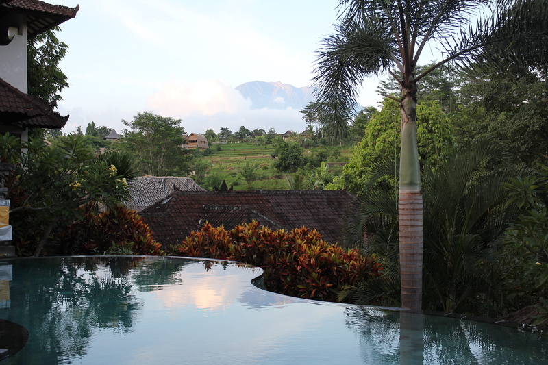 plant, growth, tranquility, built structure, happy, pool, relax, luxury, scenics - nature, calm, tranquil scene, tropical, water, reflection, day, architecture