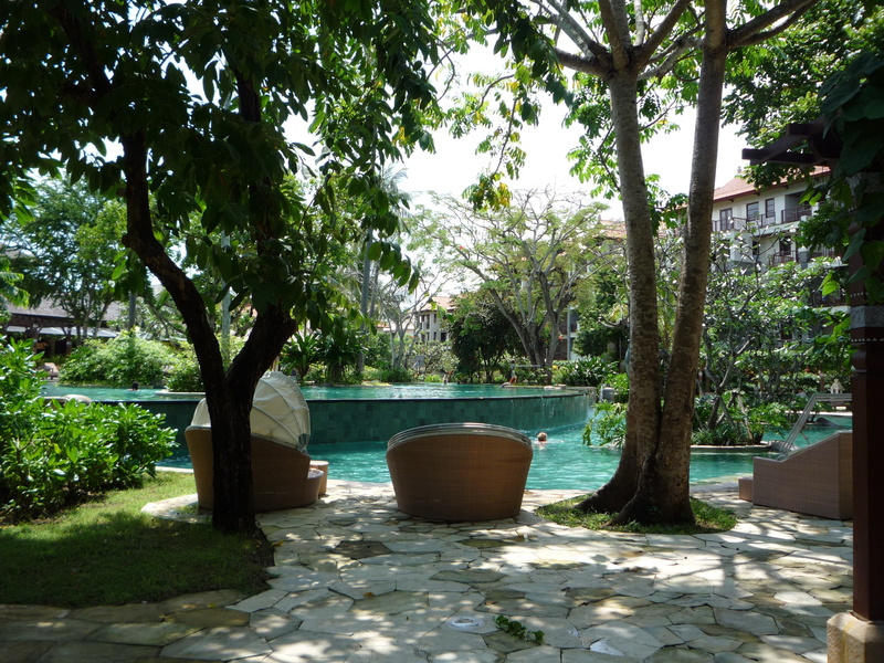 shadow, tranquility, outdoors, beauty in nature, tree trunk, tourism, tropical, nature, indonesia, relax, park, bali, travel, potted plant, 2K, swimming pool
