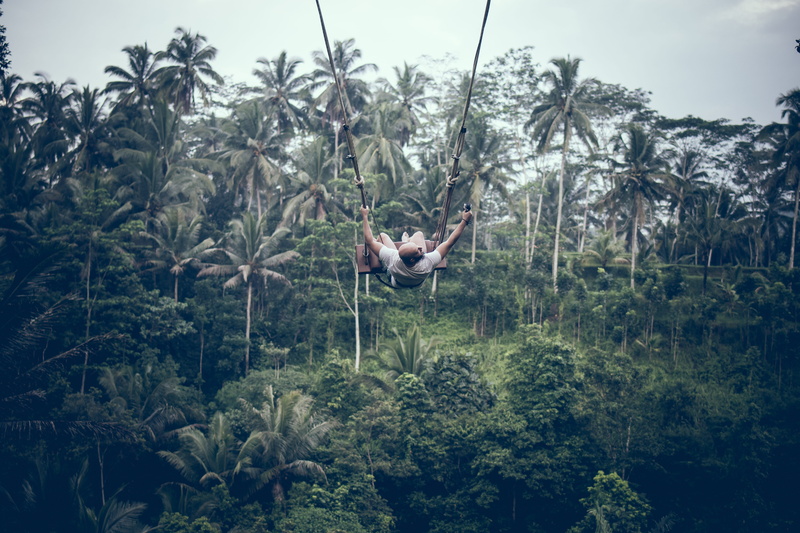 lush foliage, tree, plant, jungle, rainforest, swinging, tranquility, beauty in nature, bali, land, man, nature, adventure, growth, 5K, sky, tranquil scene