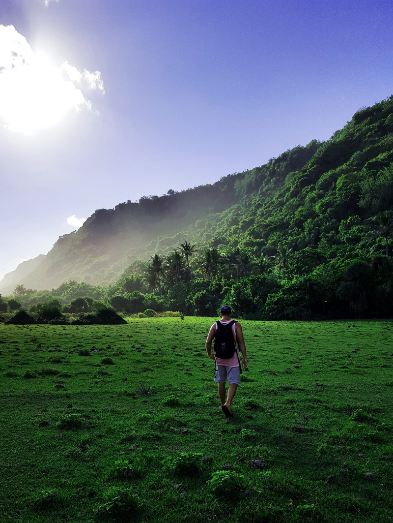 hiking, sky, plant, real people, woman, 4K, women, scenics - nature, walking, beauty in nature, day, rear view, walk, outdoors, tranquil scene, away, nature