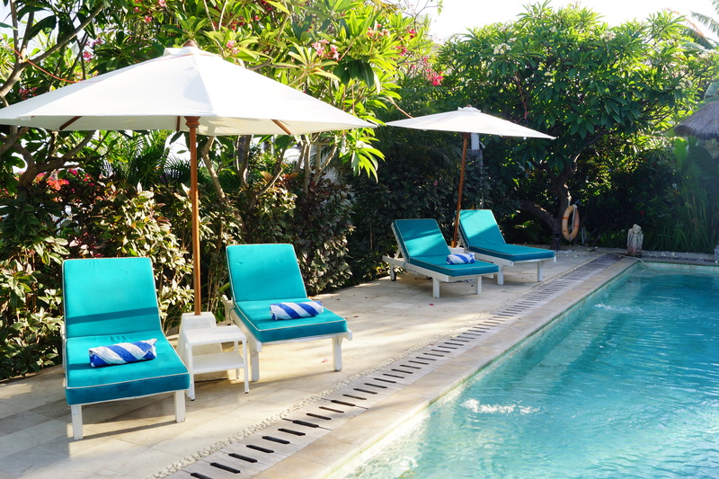 5K, umbrella, resort, plant, swimming pool, absence, tourist resort, nature, vacation, water, no people, tree, poolside, travel destinations, swimming