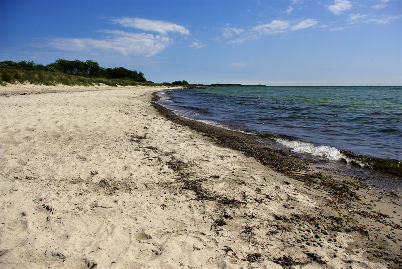 mussels, horizon over water, baltic sea, sand, island fehmarn, tracks in the sand, outdoors, blue, clubs, nature, tranquil scene, beauty in nature, beach