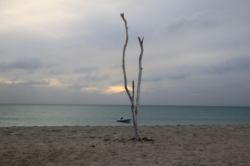scenics - nature, cape verde island, water, land, tranquil scene, outdoors, cloud - sky, beach, horizon, tree, lonely, beauty in nature, no people, morabeze