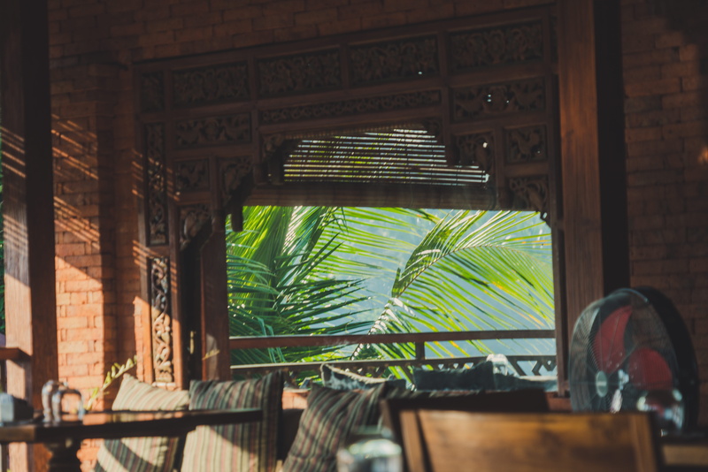 indonesian, plant, green color, mirror, trees, reflection, see through, indoors, ulun ubud resort, sofa, wood - material, palm trees, asia, sunlight, ubud