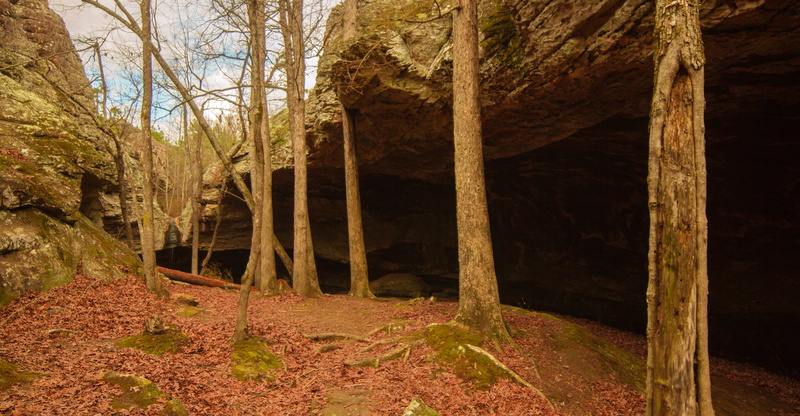tree, tranquility, national park, rocks, day, growth, woodland, remote, architecture, non-urban scene, forest, tree trunk, arkansas, change, national forest