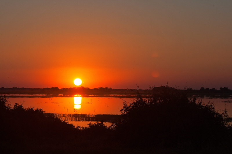 tree line, plant, bright, silhouette, calm, africa, orange color, nature, reflection, no people, tree, sunlight, sunset over river, dusk, lake, vegetation