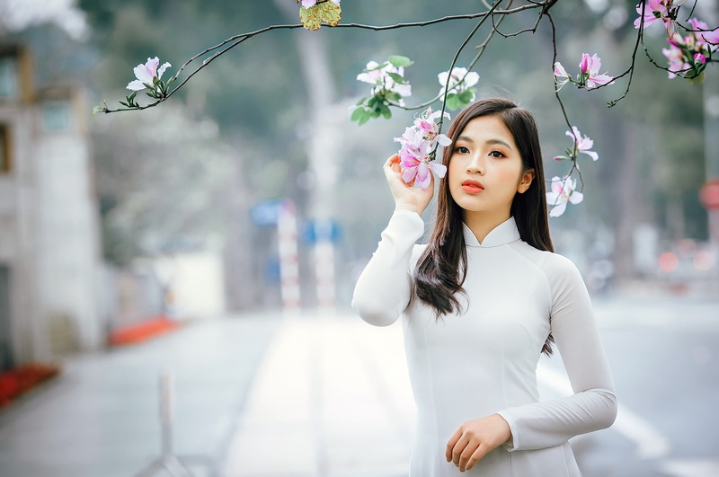 áo dài, Asian, model, women, 1080P