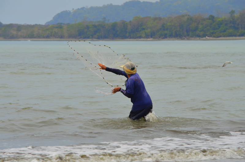 girl, ocean, motion, nature, costa rica, making a living, leisure activity, sky, 5K, one person, beach, men, real people, animal, fishing industry, net