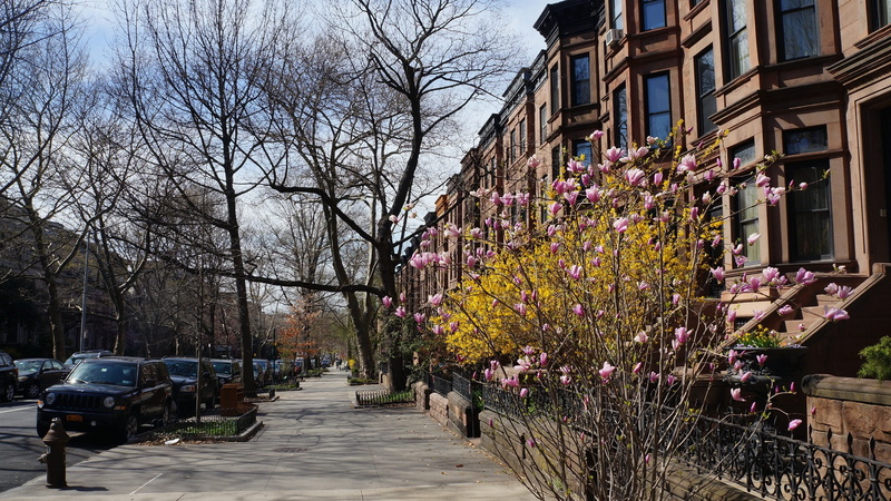 direction, built structure, springtime, nature, 1080P, growth, footpath, building, bare tree, tree, architecture, city, no people, Sidewalk, outdoors