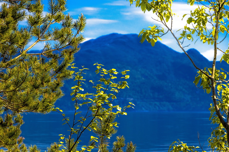 sky, amazing, water, view, scenery, mountain, panorama, photos, Tree, leafed, lake, roadtrip, norge, tranquil scene, beautiful, branch, mountains, plant
