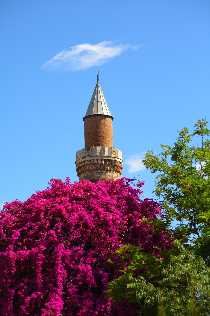 religion, 5K, low angle view, on, blue, growth, no people, aesthetics, turkey, spire, outdoors, travel, old, cami, plant, sky, landscape, building exterior