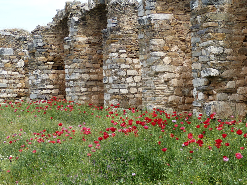 history, nature, building exterior, day, built structure, green color, wall, sculptor, 4K, Temple, poppy, beauty in nature, summer meadow, field, stone wall