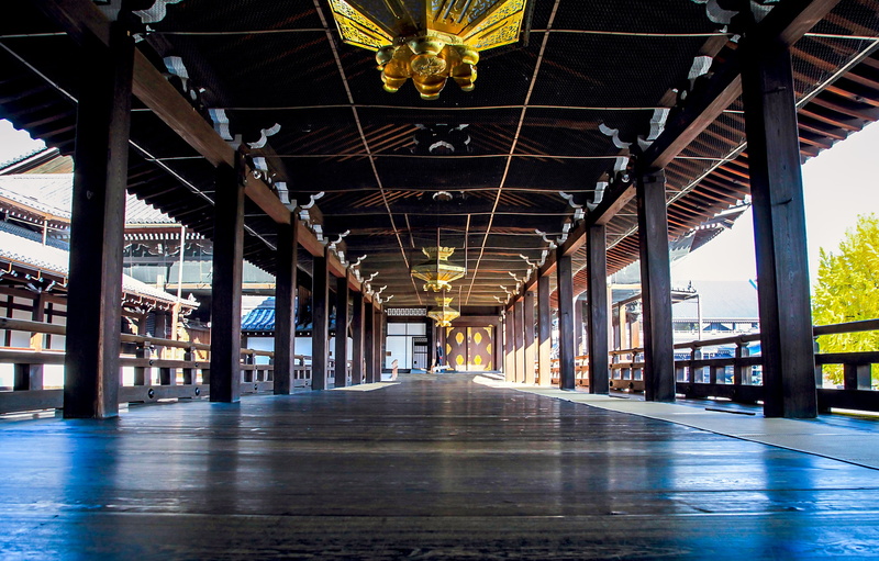 nature, no people, absence, connection, indoors, in a row, architectural column, oku, the way forward, empty, the heian period, direction, colonnade, it is