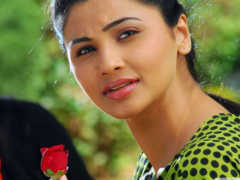 bollywood, 1080P, actress, daisy, shah, model, babe