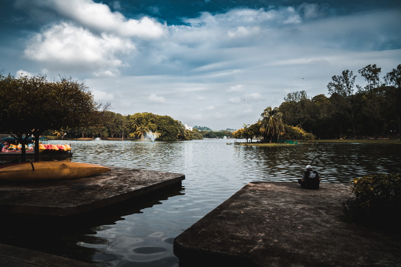 tranquil scene, reflection, relax, non-urban scene, 5K, bird, no people, cloud, tree, cloud - sky, park, nature, lake, shah alam, tranquility, trees, idyllic