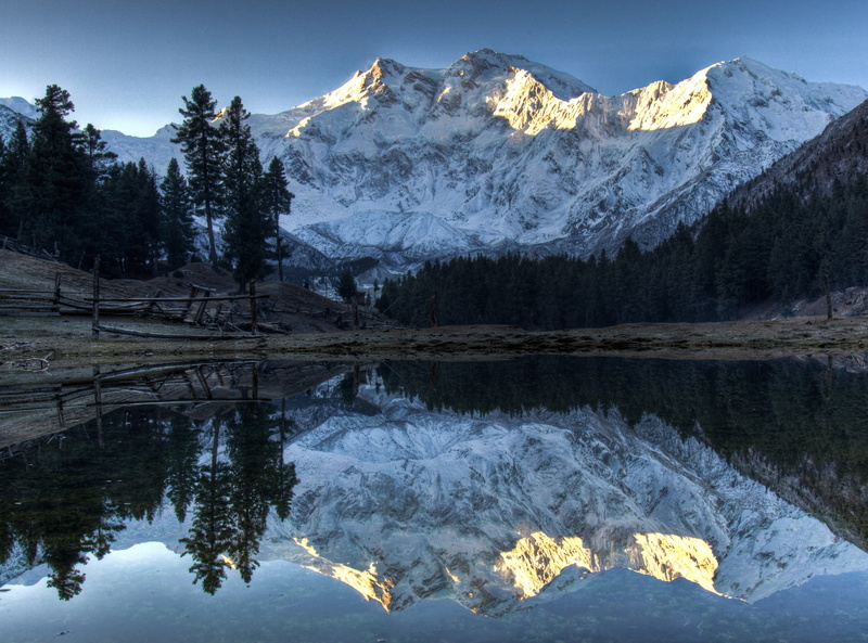 coniferous tree, leafed, Peaks, tranquil scene, green, Lake, 2K, Himalaya, winter, plant, Landscape, Asia, Mountains, trees, mountain, Pakistan, snowcapped mountain