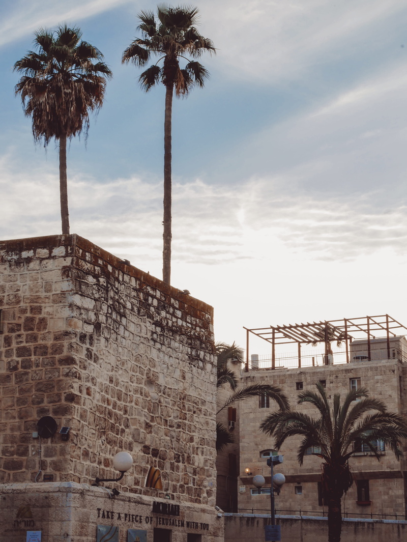 nature, tall - high, architecture, plant, day, sky, building exterior, low angle view, palm tree, no people, building, built structure, old city, travel destinations