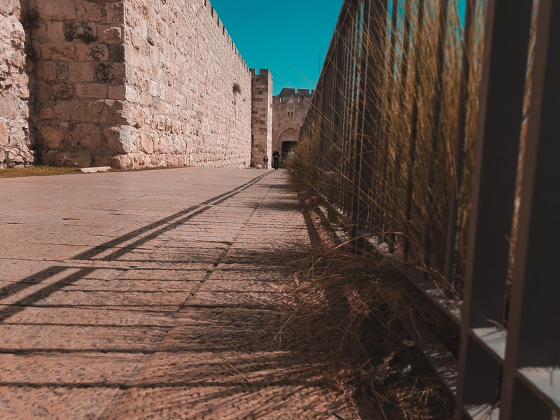 building, building exterior, shadow, direction, old city, narrow, street, plant, jerusalem, 4K, wall, city, outdoors, day, the way forward, sunlight, alley