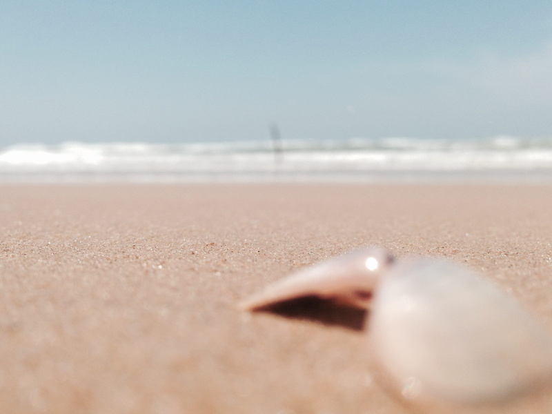 wave, motion, scenics - nature, pantai lombang, day, beach, selective focus, surfing, shell, tranquility, 2K, indonesia, surface level, pink, sand, outdoors