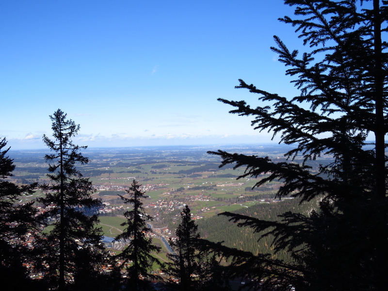 top, tranquil scene, silhouette, outdoors, coniferous tree, 4K, out, wide, land, look down, place, mountain, view, tranquility, sky, clear sky, blue, non-urban scene