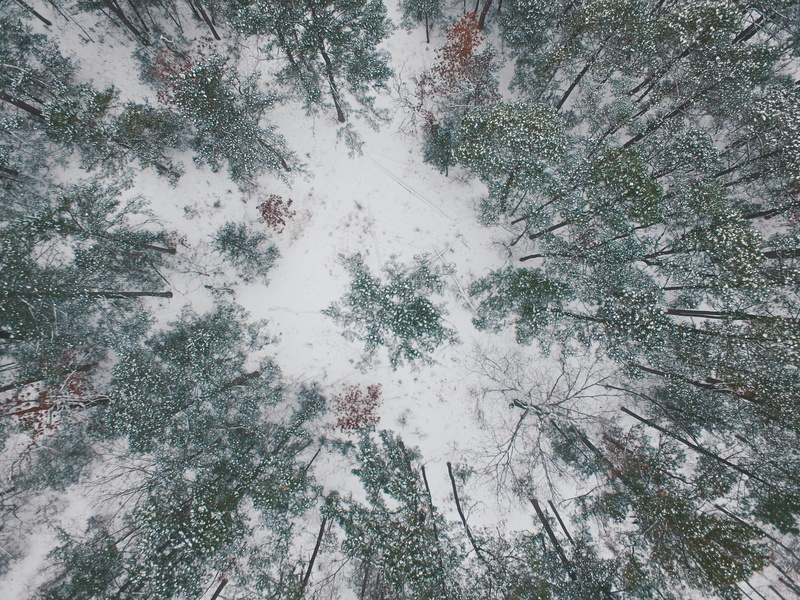 beauty in nature, drone, green, snow, above, wood, no people, land, growth, tree, covered, outdoors, coniferous tree, landscape, non-urban scene, trees