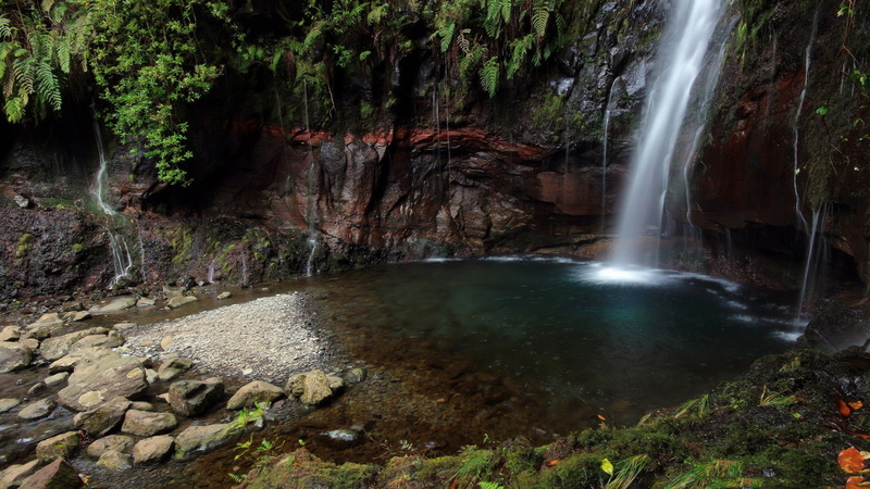 rainforest, 1080P, long exposure, flowing, no people, rock, beauty in nature, solid, forest, flowing water, scenics - nature, lake, waterfall, falling water