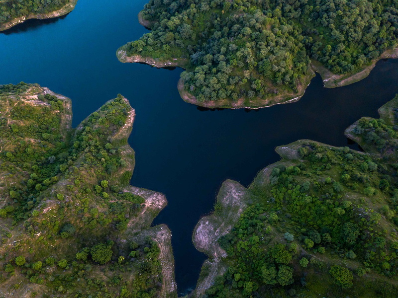 plant, island, animal, outdoors, land, water, nature, photography, sea life, growth, sadri, ocean, flora, peninsula, sea, india, aerial, green color, ranakpur road