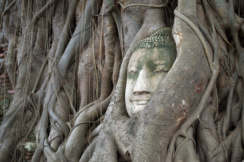 root, place of worship, the symbol, outdoors, spirituality, male likeness, ancient civilization, art and craft, representation, craft, belief, statue, plant