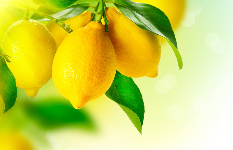 lemons, plant part, fruit, fruit tree, healthy eating, leaf, yellow, food and drink, citrus fruit, 5K, food, orange, macro, no people, plant, lemon, leaves