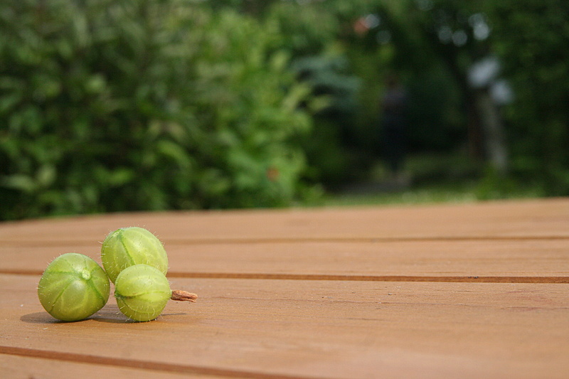 healthy lifestyle, brown, background, wood - material, sour, tennis, vitamins, table, indoors, healthy eating, food, focus on foreground, eat, fruit, delicious