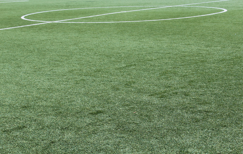 soccer field, sport, day, plant, green color, lawn, field, nature, absence, land, synthetic grass, football, grass, stadium, grass area, turf, team sport