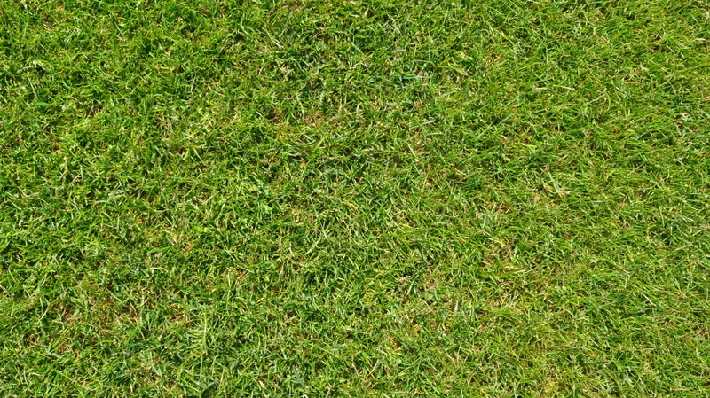 football field, gazongras, texture, 4K, grass, soccer field, grass area, day, green, nature, backgrounds, pattern, playing field, high angle view, plant