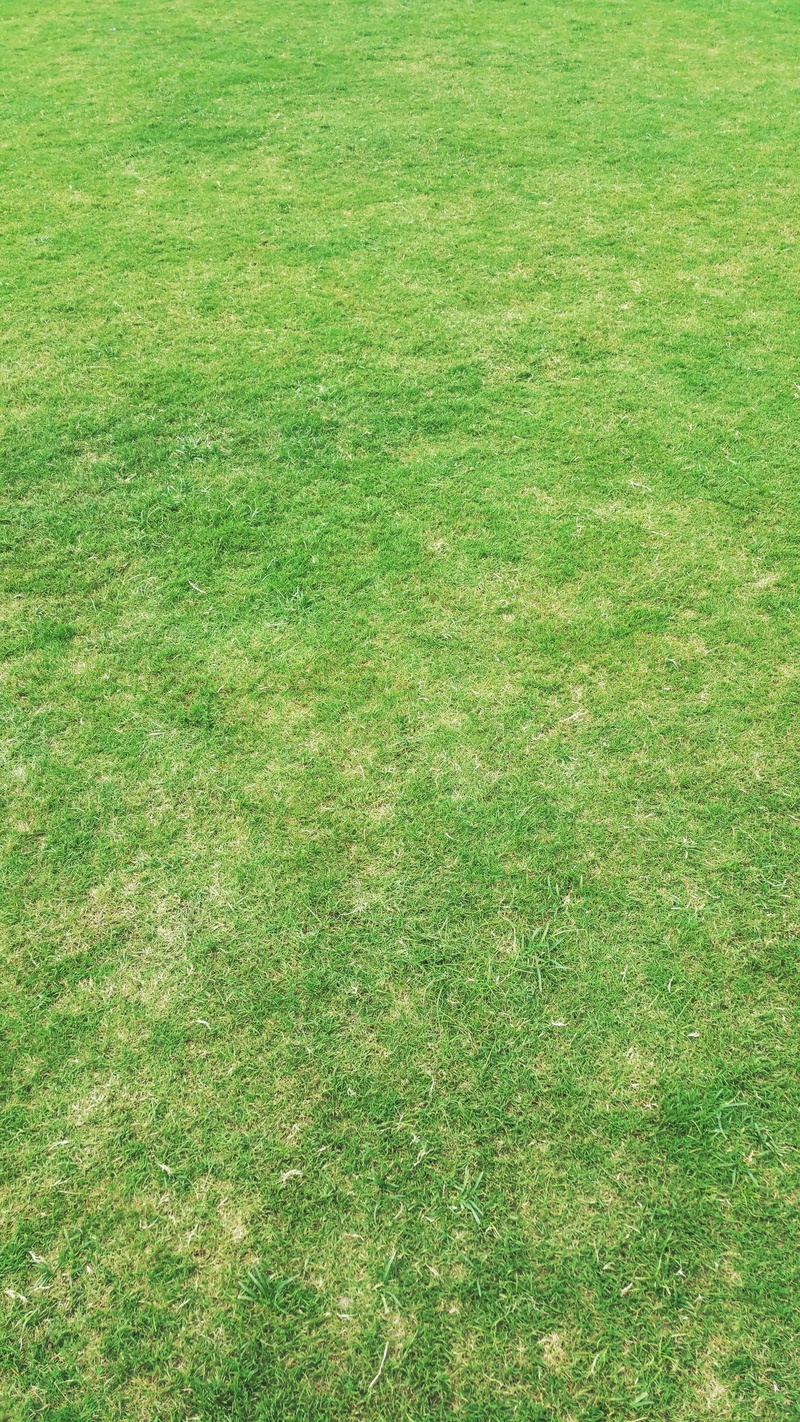 day, blank, desktop backgrounds, green color, desktop, green grass, sport, natural, backgrounds, growth, lawn, soccer field, grass area, meadow